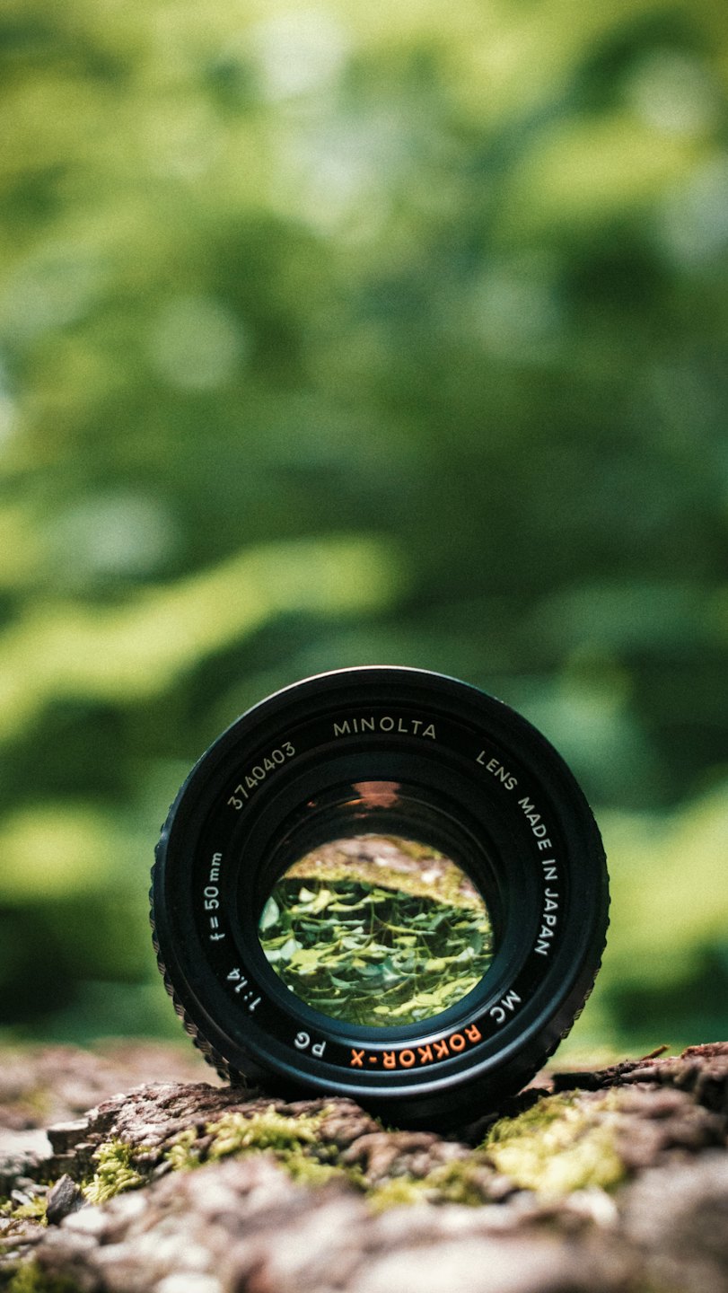 Vintage camera lens standing on mossy bark.
